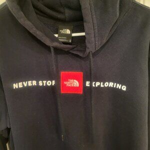 THE NORTH FACE Men's Red's Pullover Hoodie, Aviator Navy, Medium